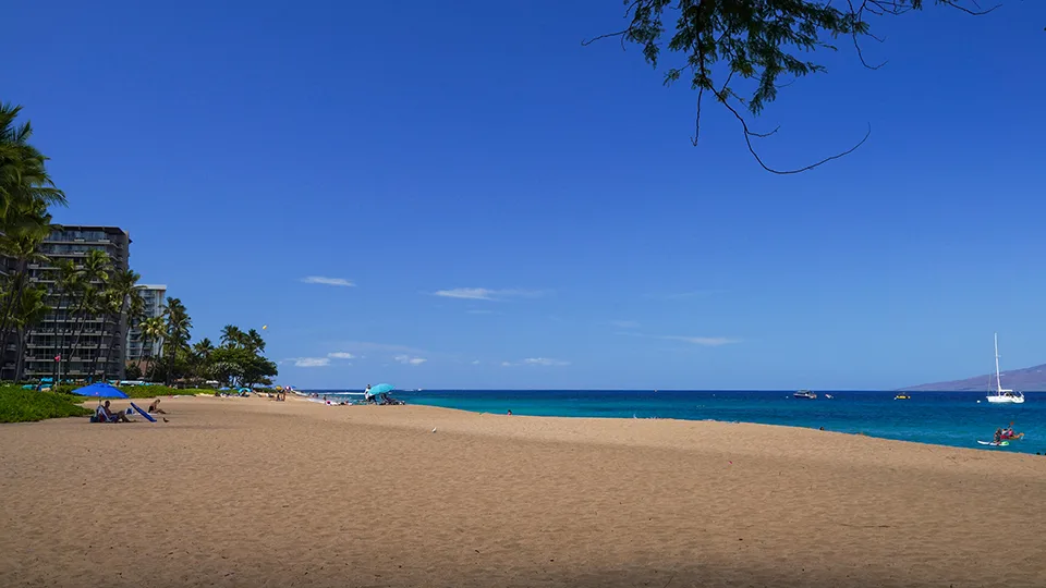 Where to Snorkel in Maui Hawaii Black Rock