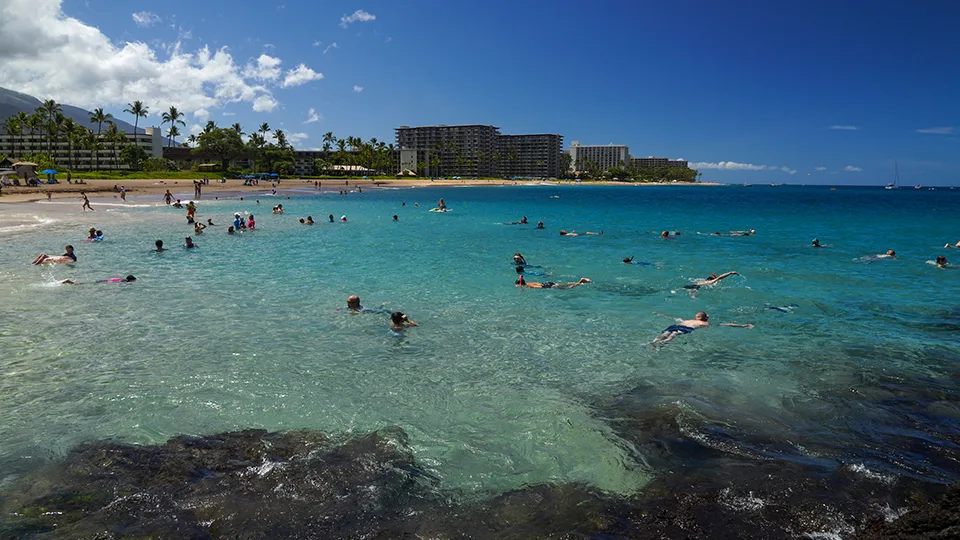 Where to Snorkel in Maui Hawaii Black Rock