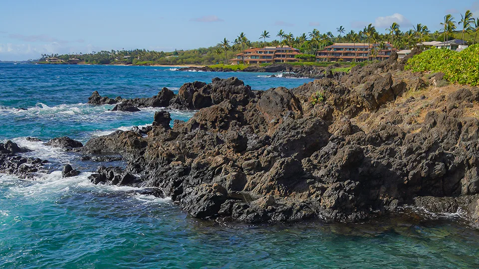 Maui Best Snorkeling at Five Caves