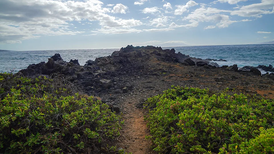 Where to Snorkel in Maui Hawaii Five Caves