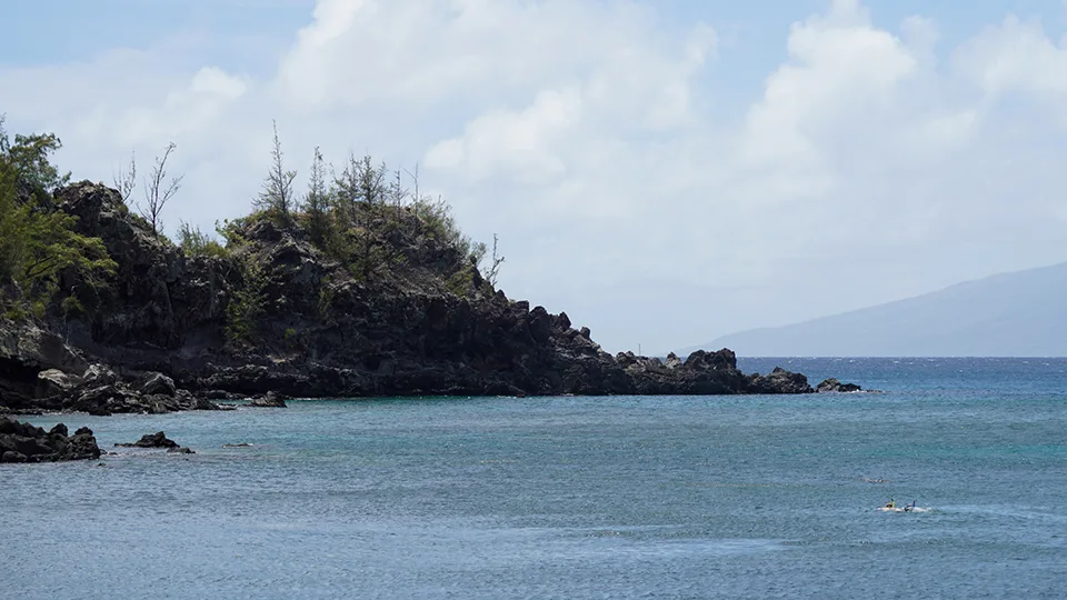 Honolua Bay Snorkeling