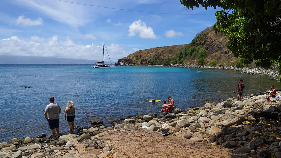 Best Maui Snorkel Honolua