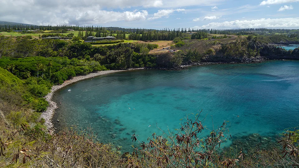 Honolua Bay Snorkeling