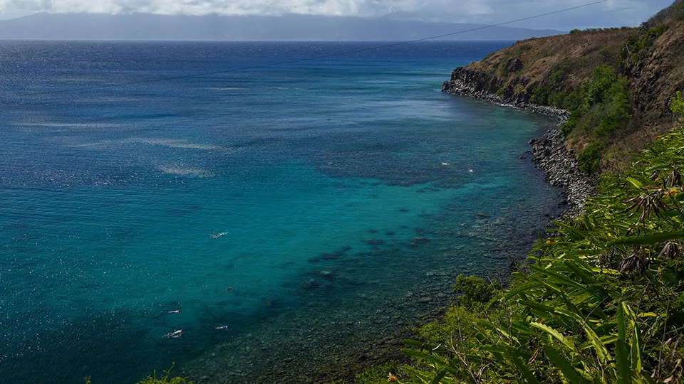 Best Maui Snorkel Honolua