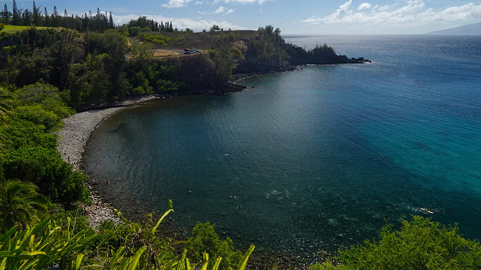 Honolua Bay Snorkeling