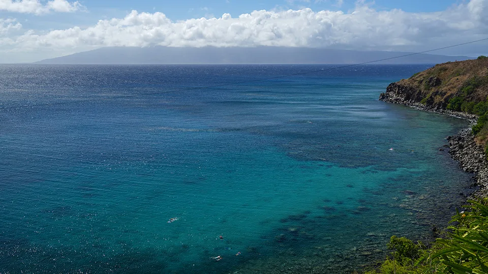 Best Maui Snorkel Honolua