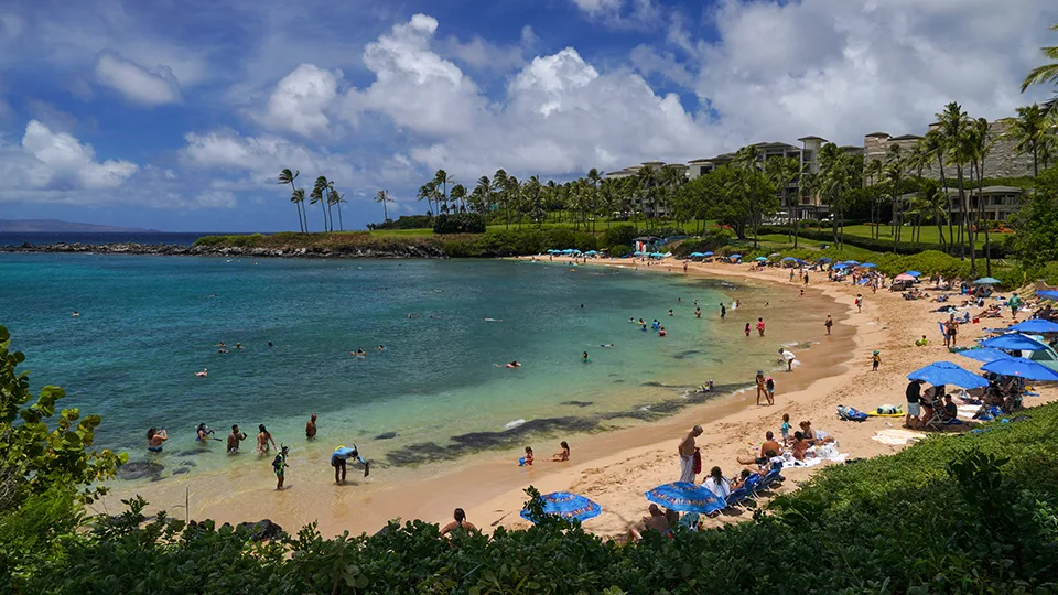 Kapalua Bay Snorkeling in Maui