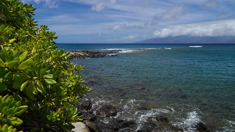 Kapalua Bay Snorkeling in Maui