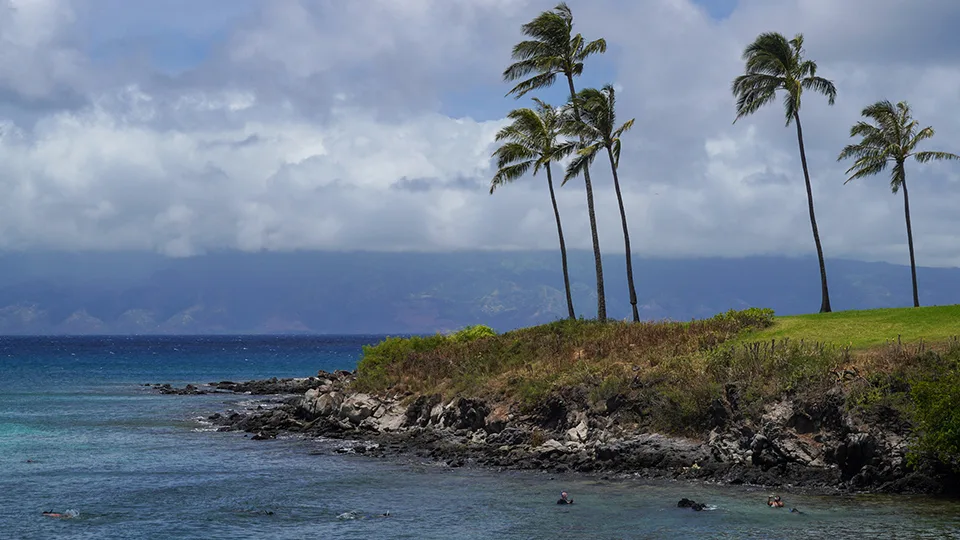 Snorkeling at Kapalua Bay Maui Hawaii