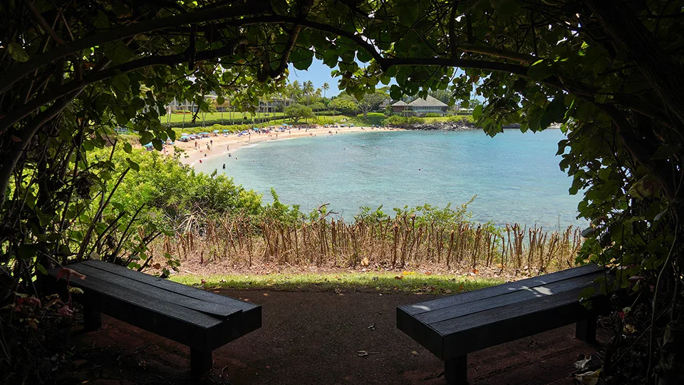 Snorkeling at Kapalua Bay Maui Hawaii