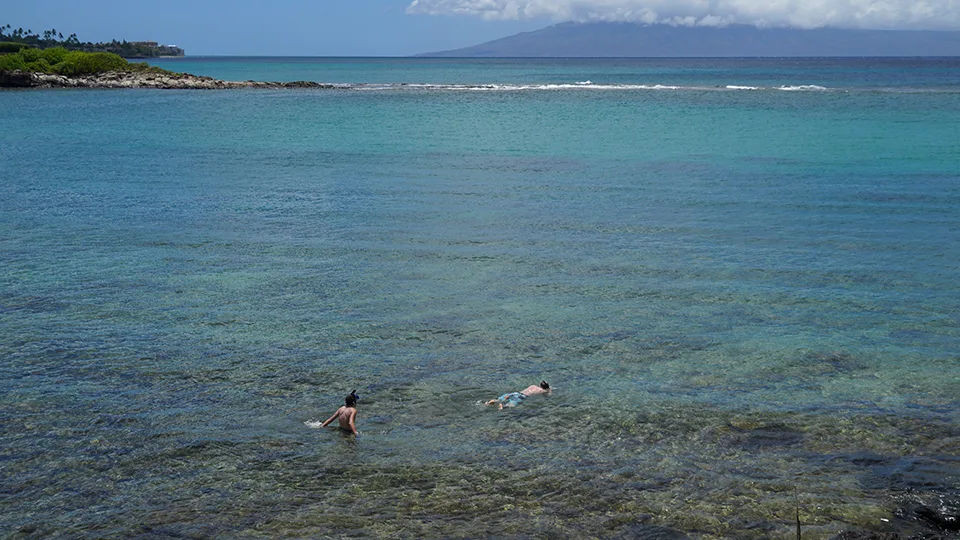 Kapalua Bay Snorkeling in Maui