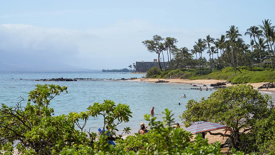 Ulua Beach Maui Hawaii