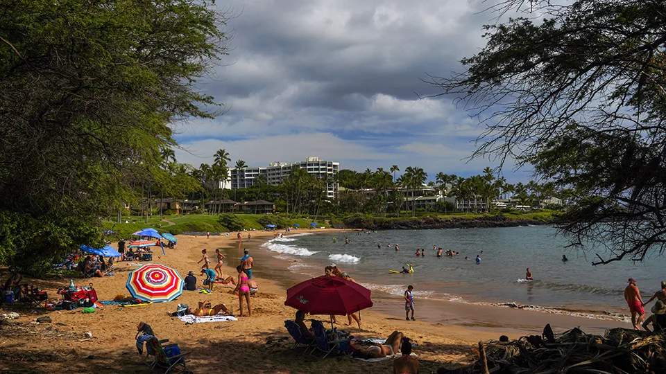 Ulua Beach Maui Hawaii