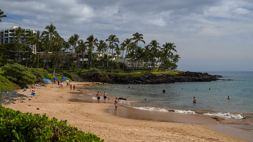 Ulua Beach Maui Hawaii