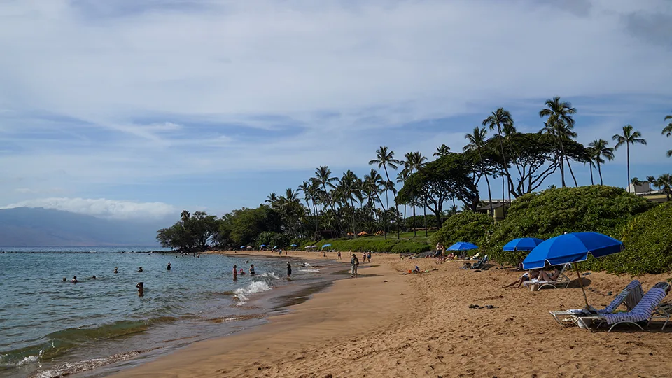 Ulua Beach Maui Hawaii