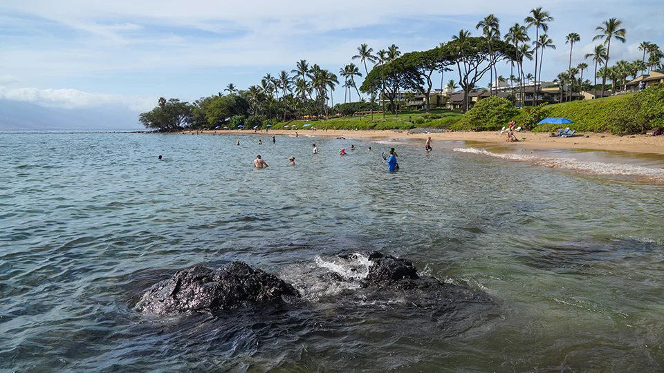 Ulua Beach Maui Hawaii