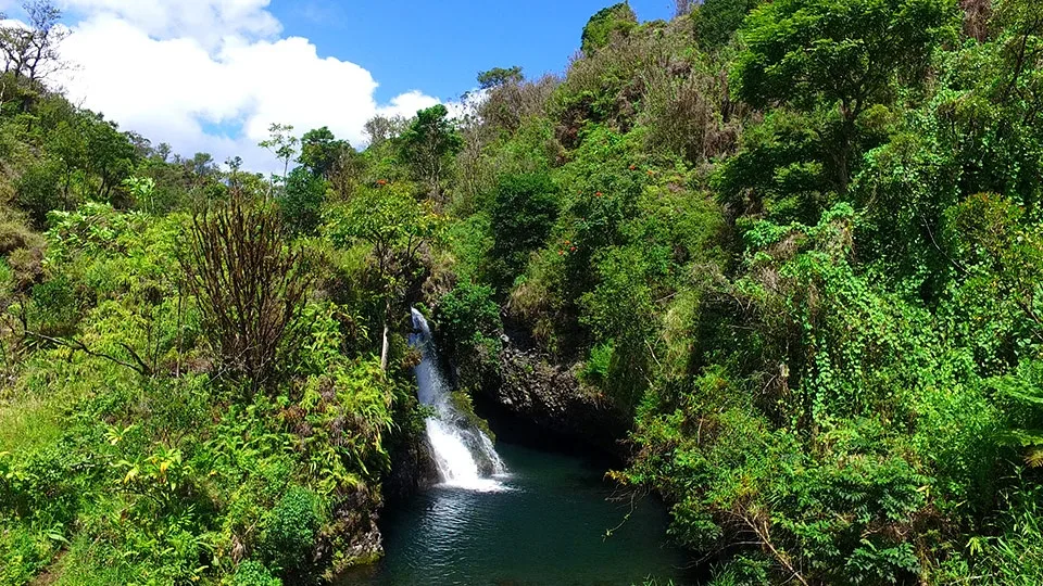 Waterfall on the Road to Hana