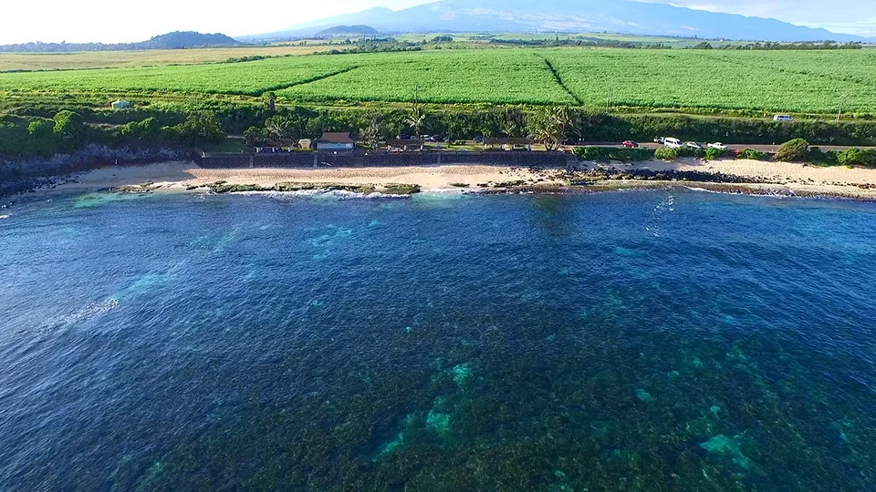 Aerial view of the beach