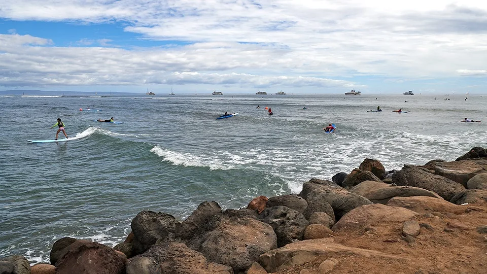 Surfers out in the water