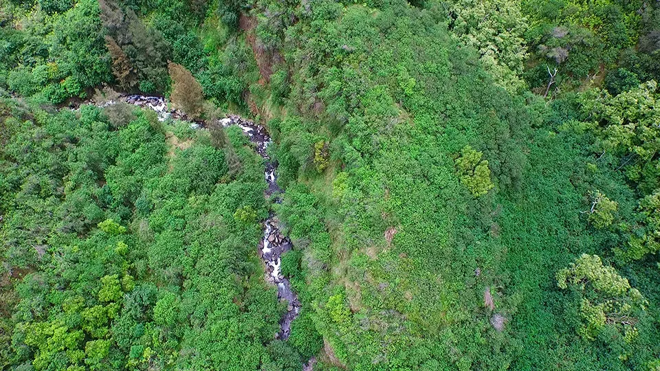 Waterfalls at Iao Valley