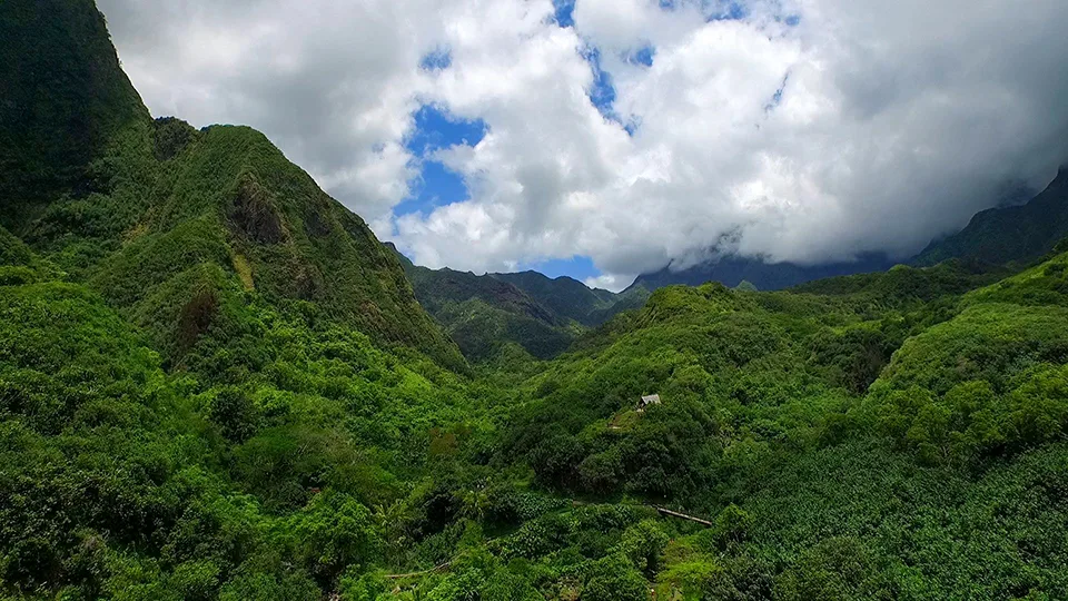 Iao Valley