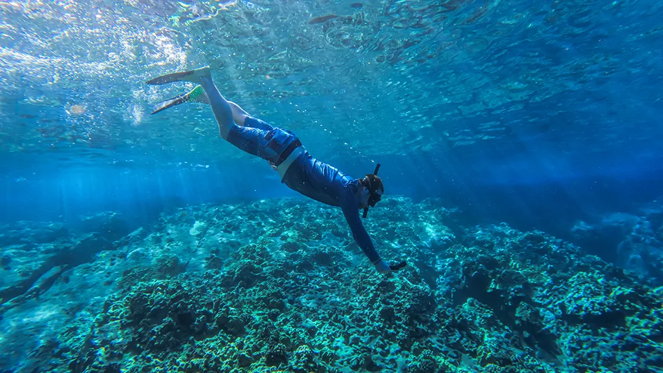 Guest Snorkeling on Pride of Maui snorkel tour