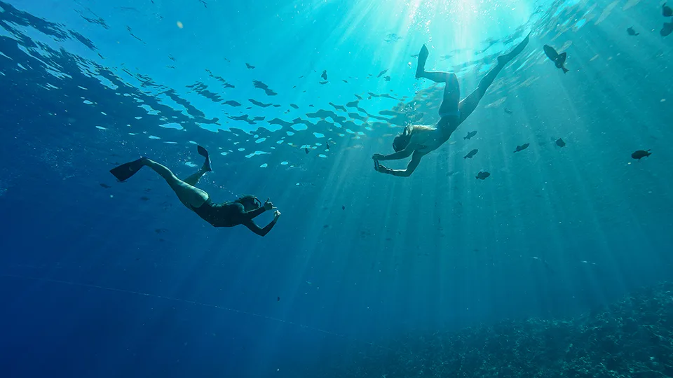 Two guests snorkeling on a Pride of Maui tour