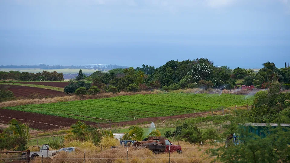 Evonuk Farms