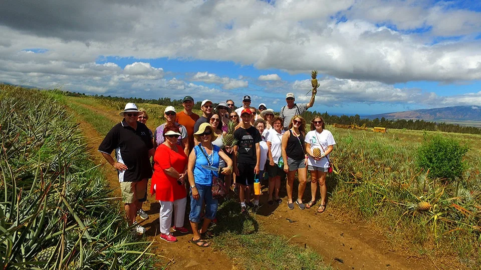 Maui Pineapple Tours