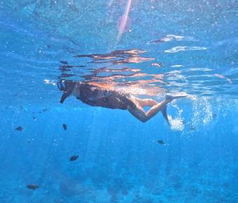 Maui Snorkeling