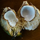 Best Maui Coconut Company