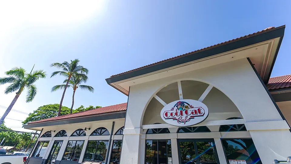 Restaurants Re-opening in Lahaina Cool Cat Cafe