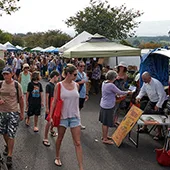 Best Local Maui Produce Upcountry Farmers Market