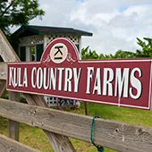 Best Local Maui Produce Kula Country Farms