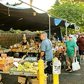 Best Local Maui Produce Honokawai Farmers Market