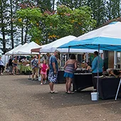 Best Local Maui Produce Napili Farmers Market