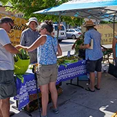 Best Local Maui Produce Lipoa Street Farmers Market