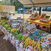 Best Local Maui Produce Ono Organic Farms