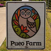 Best Maui Plantation Tours Pueo Farm