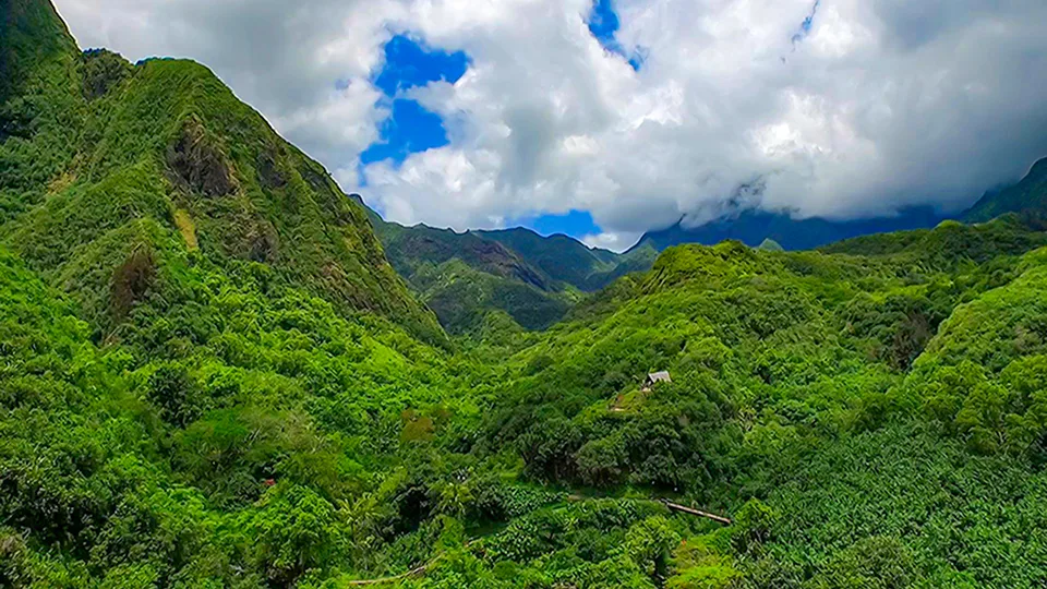 What Makes Maui Special Iao Valley State Park