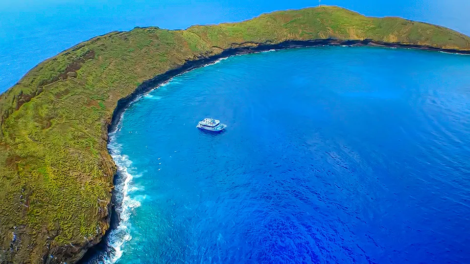 Molokini Unique Things to Do in Maui