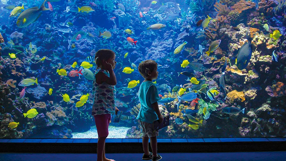 Most Fun Places on Maui Ocean Center