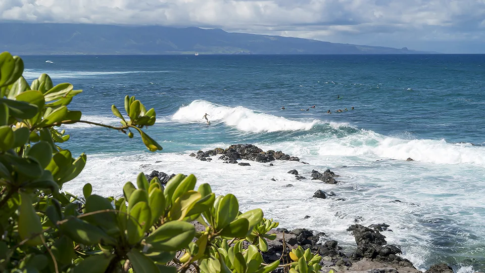 Best Maui Places to See Ho'okipa Beach