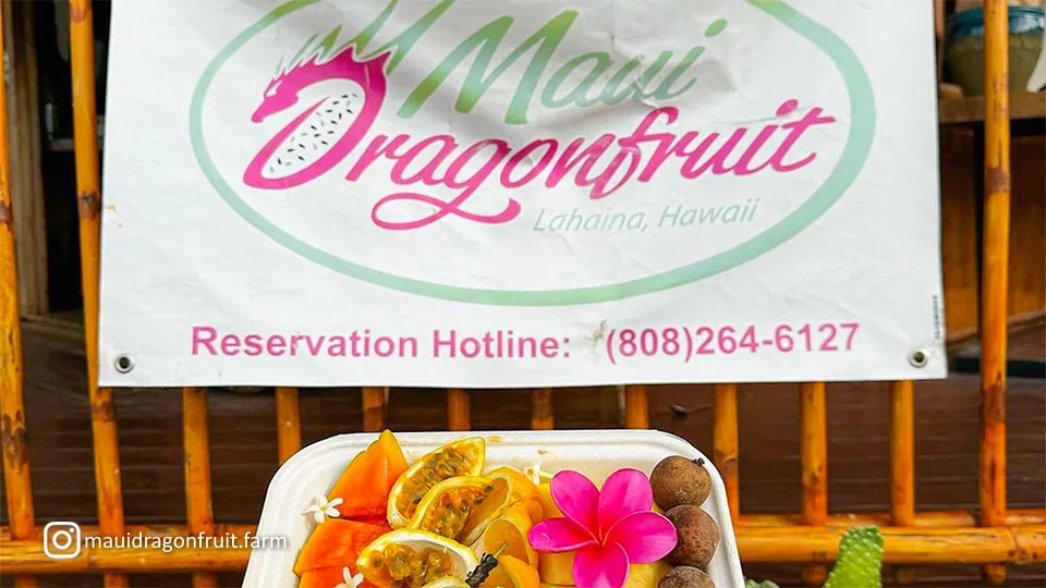 List of Businesses Reopening in Lahaina Maui Dragonfruit Farm