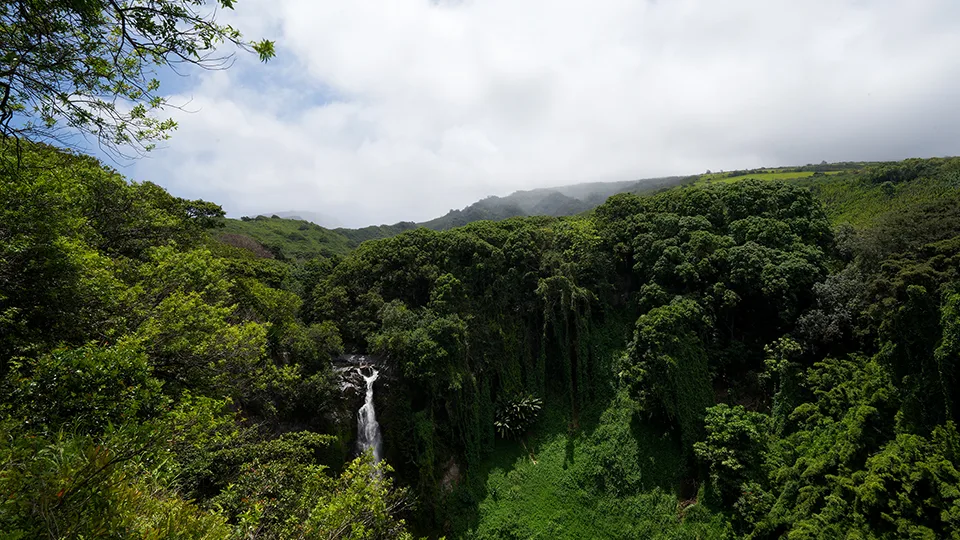 Distant view of Makahiku Falls showing its position as source of Seven Sacred Pools in Kipahulu Valley Maui