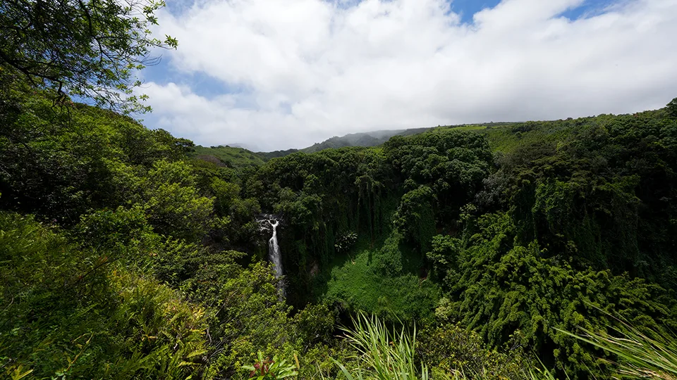 Panoramic view of Makahiku Falls nestled in Kipahulu Valley on Pipiwai Trail Haleakala National Park