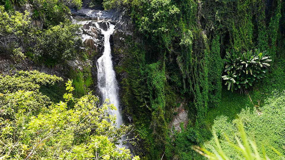 Makahiku Falls 200-foot Maui waterfall visible from Pipiwai Trail overlook source of Seven Sacred Pools Haleakala National Park