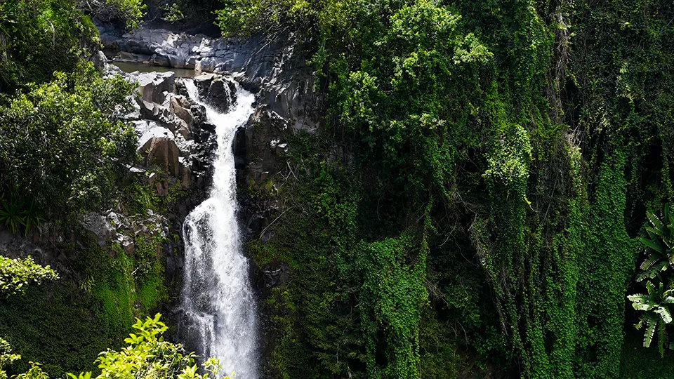 Majestic 200-foot Makahiku Falls cascading down cliff face with morning mist in Haleakala National Park