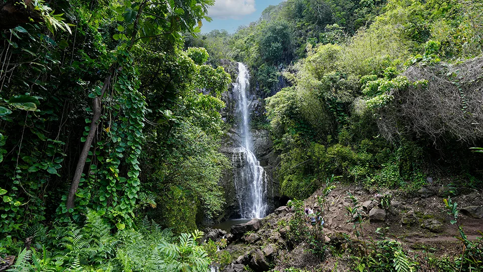 Side angle of Wailua Falls with lush jungle foliage along quarter-mile trail from Hana Highway