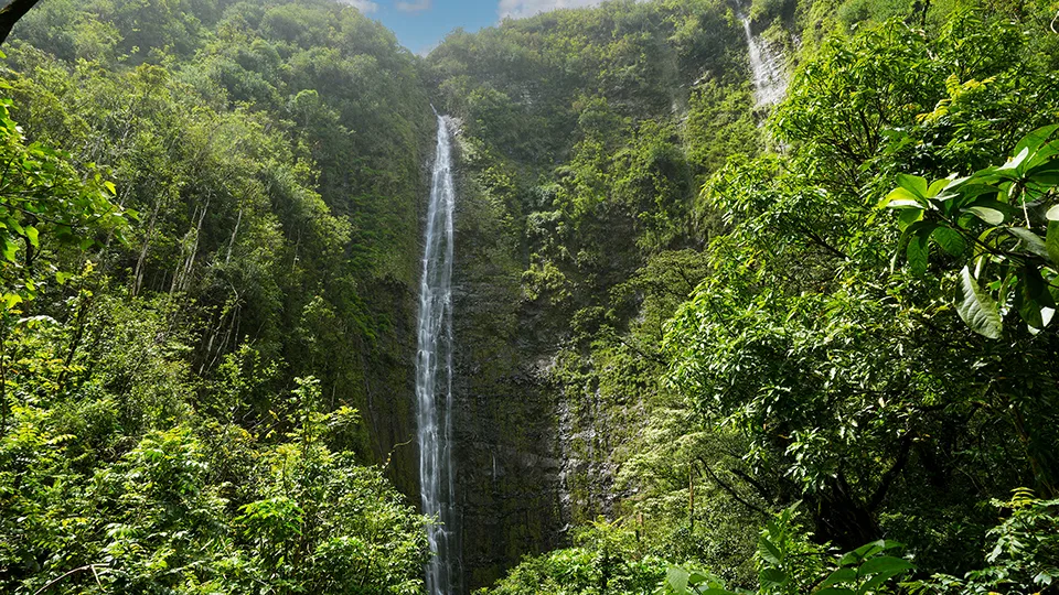 Waimoku Falls Maui waterfall cascading 400-foot through lush rainforest at end of Pipiwai Trail in Haleakala National Park